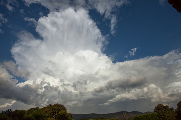 Cumulus nimbus forming a thunderstorm.