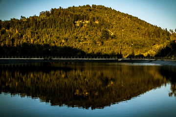 autumn landscape with lake and reflection in water