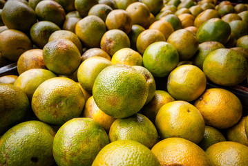 Productos del campo, frijol, maiz, alberja, papa, fresas, uchuba, cebolla de huevo, blanquillo, granos, piña, tomate, papaya, platano, guayaba, productos de COlombia y Antioquia