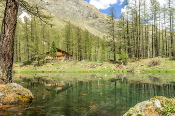 Italian mountain landscape, alps, wooden chalets and pine trees