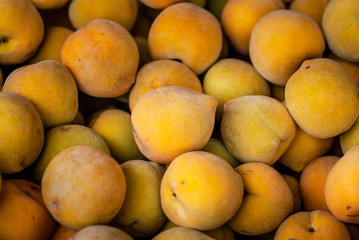 Productos del campo, frijol, maiz, alberja, papa, fresas, uchuba, cebolla de huevo, blanquillo, granos, piña, tomate, papaya, platano, guayaba, productos de COlombia y Antioquia