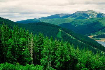 Fototapeta na wymiar Panorama of the Carpathian Mountains 
