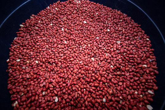 Productos del campo, frijol, maiz, alberja, papa, fresas, uchuba, cebolla de huevo, blanquillo, granos, pi&ntilde;a, tomate, papaya, platano, guayaba, productos de COlombia y Antioquia
