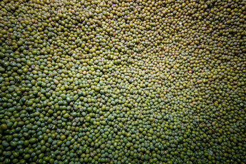 Productos del campo, frijol, maiz, alberja, papa, fresas, uchuba, cebolla de huevo, blanquillo, granos, piña, tomate, papaya, platano, guayaba, productos de COlombia y Antioquia