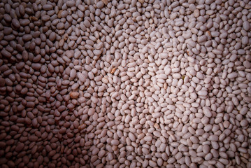 Productos del campo, frijol, maiz, alberja, papa, fresas, uchuba, cebolla de huevo, blanquillo, granos, piña, tomate, papaya, platano, guayaba, productos de COlombia y Antioquia