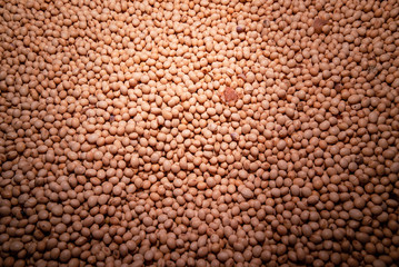 Productos del campo, frijol, maiz, alberja, papa, fresas, uchuba, cebolla de huevo, blanquillo, granos, piña, tomate, papaya, platano, guayaba, productos de COlombia y Antioquia