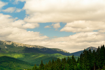 Obraz premium Panorama of the Carpathian Mountains