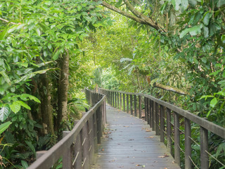 Boardwalk trough the jungle at cahuita national reserve in Costa Rica