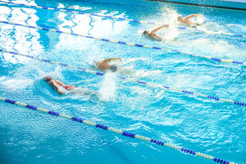  Swimmers compete for speed among themselves in the pool