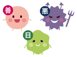 善玉菌 悪玉菌 日和見菌