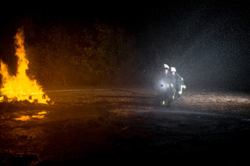 Group of firefighters