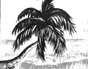 palm tree silhouette 3