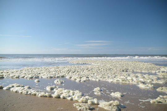 Sea foam on the beach in large quantity - wide angle - in Den Haag  , Holland