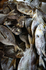 Dried Fish - Indonesia