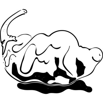 Datil Pepper