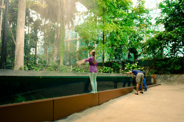 Flooded Forest in CosmoCaixa Barcelona, Catalonia, Spain