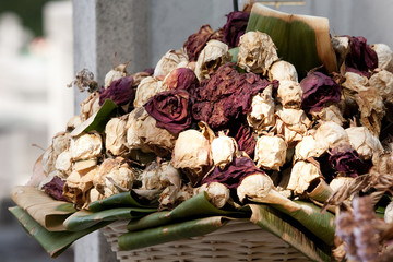 Cimetière Montparnasse