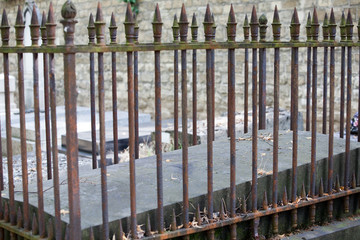 Cimetière Montparnasse