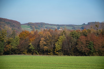 Wanderung auf dem Patensteig im Extertal. Das liegt im Naturpark Teutoburger Wald, Eggegebirge im Lipperland