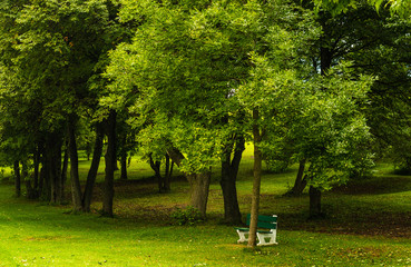 Park in Abraham's Plain - Quebec