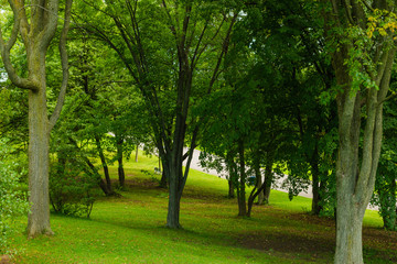 Fototapeta na wymiar Park in Abraham's Plain - Quebec