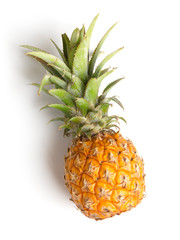 Single pineapple on white background