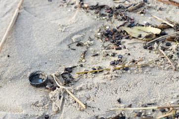 weathered plastic bottle cap between the sand on the beach of Katwijk, the Netherlands