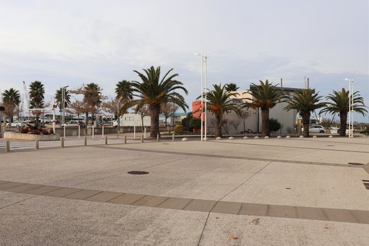 Palmiers sur le parvis de la Fe Di Biou dans le village Le Grau du Roi - D&eacute;partement du Gard - Languedoc Roussillon - R&eacute;gion Occitanie - France