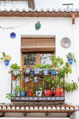 Fototapeta na wymiar Flower Pot Balcony Andalusia