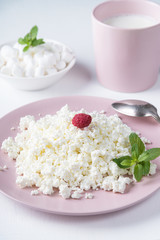 Cottage cheese in a pink plate, marshmallows and milk isolated on a white background