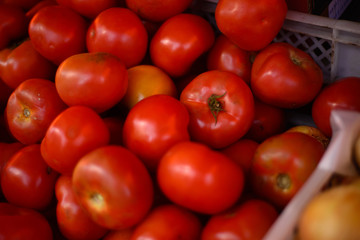 tomatoes at the farmer's market