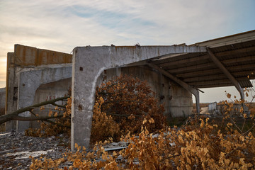 Fallen trees and the ruins of an almost destroyed warehouse complex