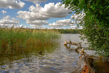Blue sky with white clouds at lake in Poland
