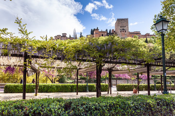 Fototapeta premium Looking up to Alhambra Palace in Granada