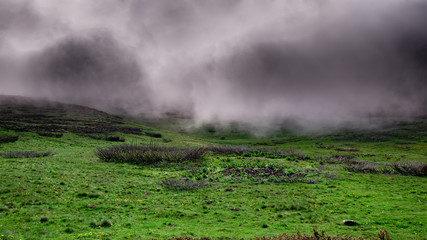 Landscape view of a green meadow with fog, clouds on the top. Sharr Mountains, North Macedonia.