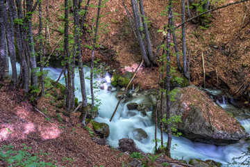 Landscape view of a river in the forest, trees around. Long exposure. Sharr Mountains, North Macedonia.