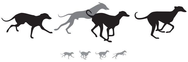 The hunting hound dogs run, variant 2 vector silhouettes