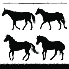 Vector silhouettes of horses.
