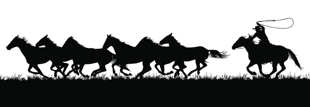 A Vector Silhouette Of A Cowboy Chasing A Herd Of Running Horses.