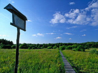 Splawy - nature path (plate with information text: sedge meadow), Poleski National Park, Poland