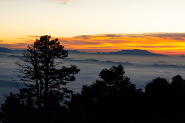 Naklejka premium amanecer