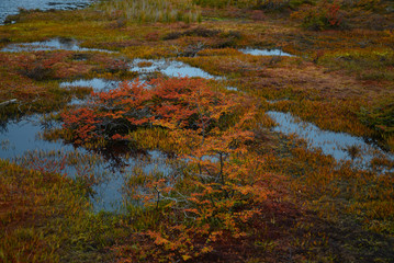 Terre de feu et Cap Horn