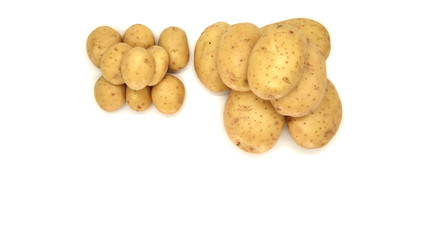 Fototapeta premium Young white potato, top view. Isolated potatoes on a white background. Fresh food for vegetarians. Raw vegetable, root vegetable. Photo harvesting potatoes for a designer.