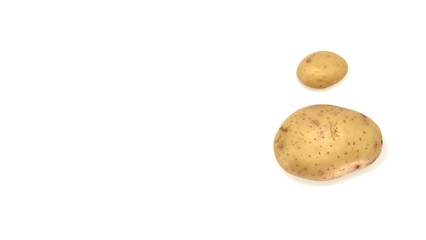Young white potato, top view. Isolated potatoes on a white background.  Fresh food for vegetarians. Raw vegetable, root vegetable. Photo harvesting potatoes for a designer.