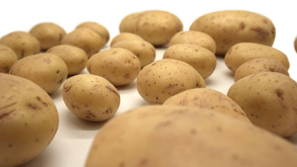 Young white potato, top view. Isolated potatoes on a white background.  Fresh food for vegetarians. Raw vegetable, root vegetable. Photo harvesting potatoes for a designer.