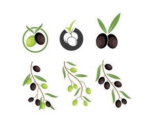 olive logo icon vector illustration