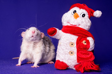 A cute rat dumbo with a snow man. Symbol of the New Year. Christmas.