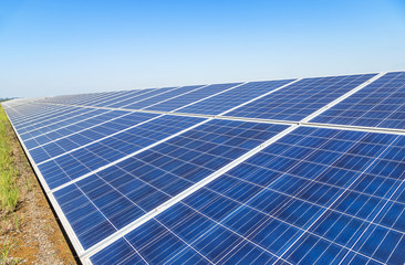 Close up rows array of solar cells or photovoltaics in solar power station alternative clean...