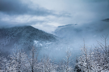 Winter landscape snowy forest, mist starting to rise from the valley