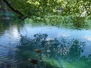 Plitvice lakes